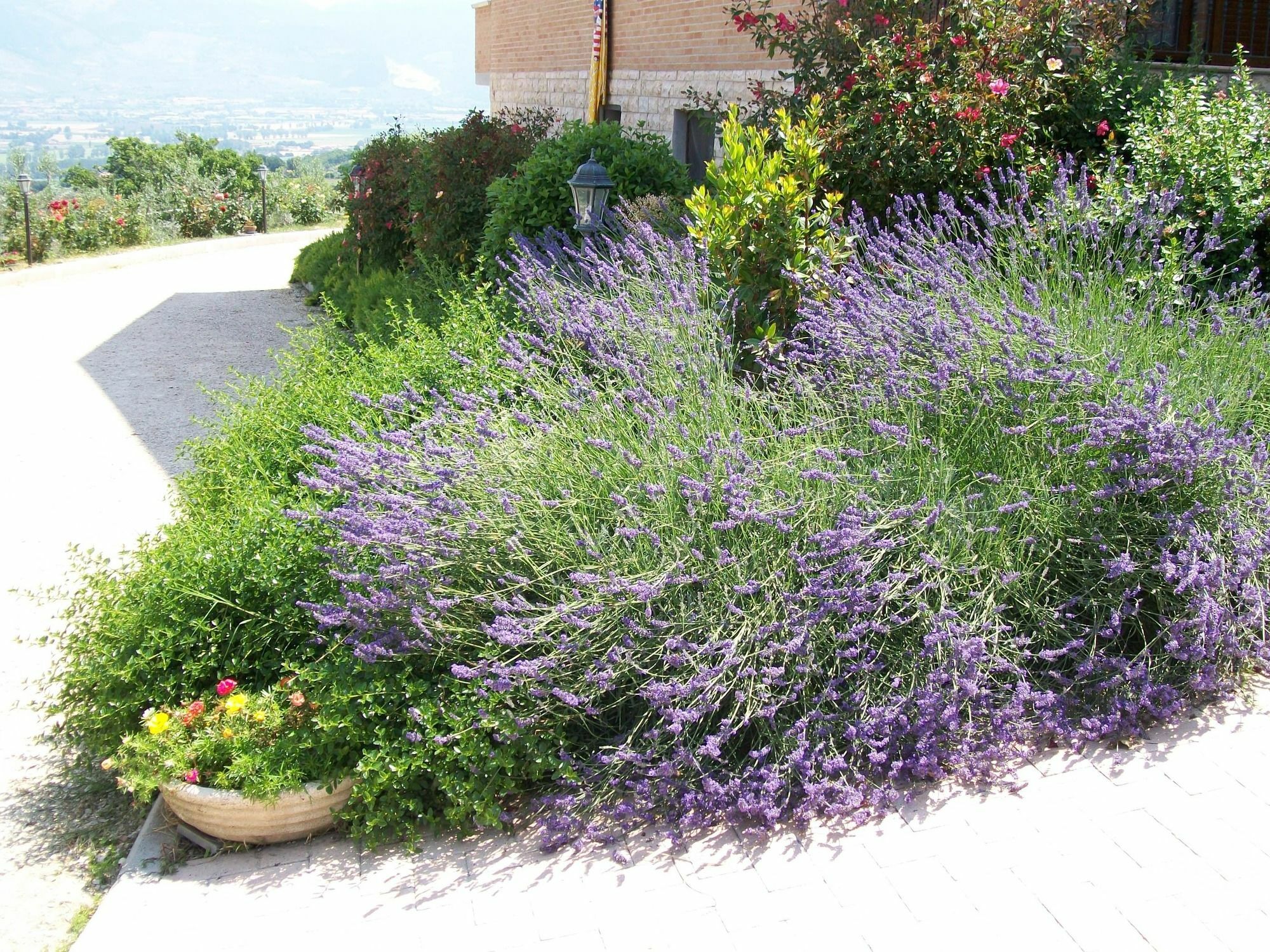 Maison d'hôtes La Collina Del Sagrantino à Montefalco Extérieur photo